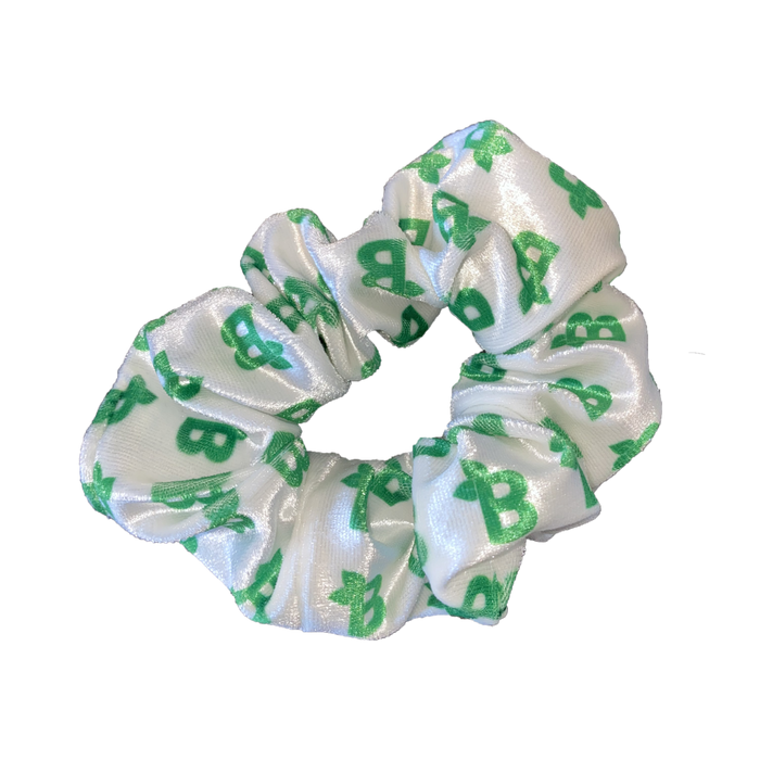 Free Scrunchie R5
